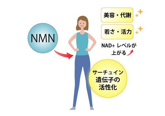 NMN点滴について